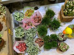 -双季花艺园艺市场(浦东店)