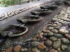 -成都市活水公园