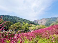 -广州市石门国家森林公园