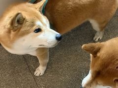 -三目仓咖啡(贤南路店)