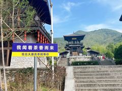 -大唐贡茶院