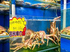 -蚝专家(北滘店)
