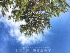 -罗布林卡