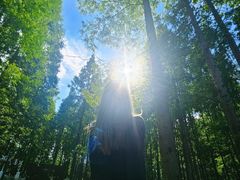 -黄海国家森林公园