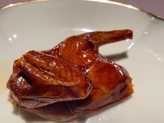 脆皮乳鸽-新荣记(南京西路店)