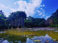 -中国科学院西双版纳热带植物园