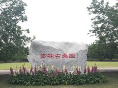 -御林古桑园