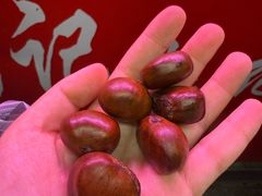 -高记福桂桂花糖炒栗(鼓楼店)