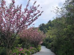 -峙山公园