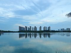-金鸡湖景区