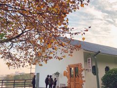 -食膳公园包子铺(烈士公园店)