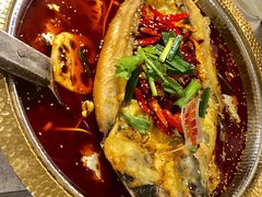 -肥家大排档(天河体育西店)