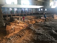 -自贡恐龙博物馆