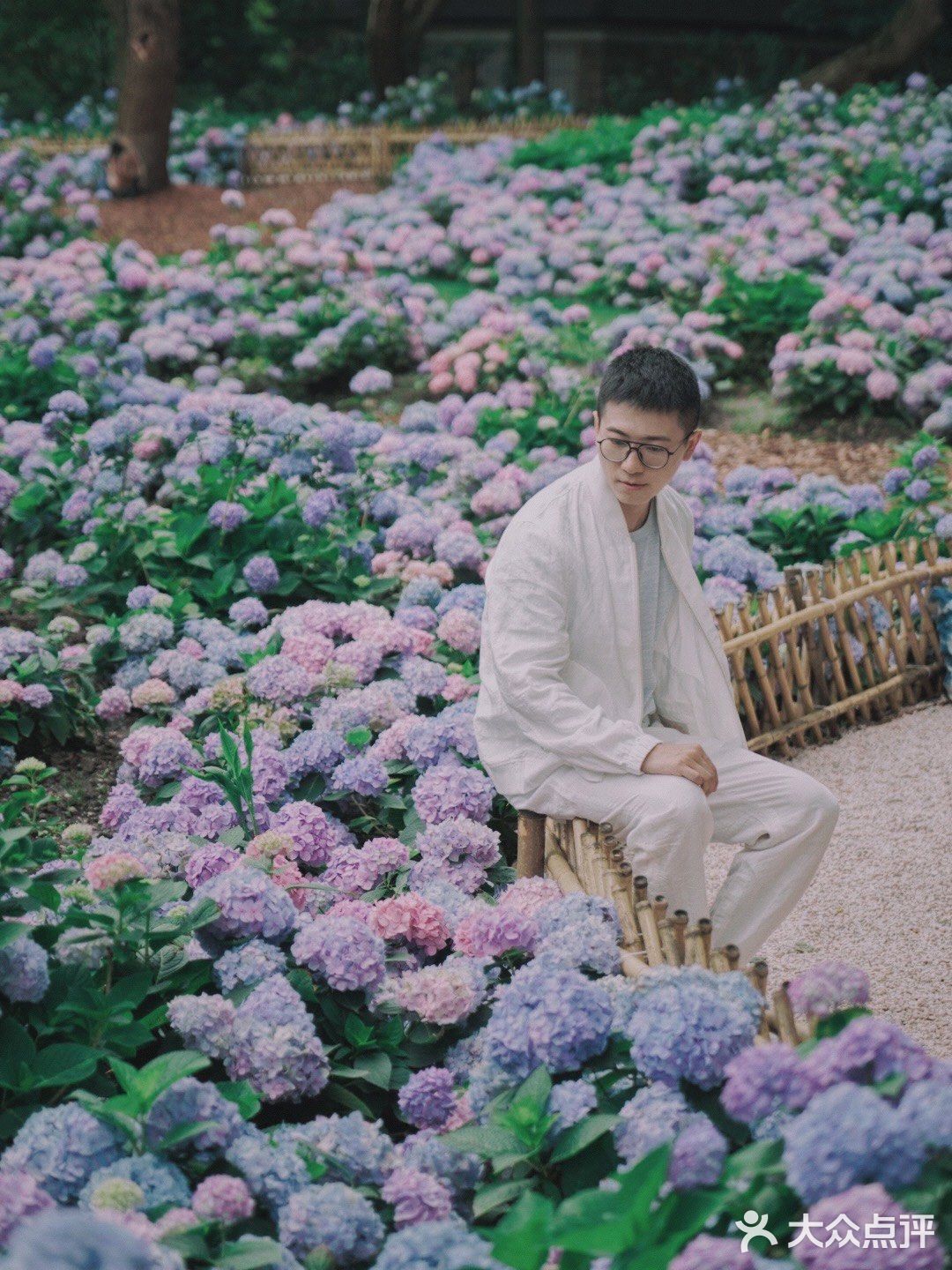 无尽夏绣球开啦🌸最新共青森林公园拍照攻略