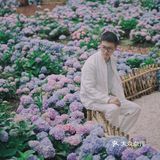 无尽夏绣球开啦🌸最新共青森林公园拍照攻略