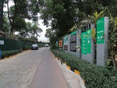 -银湖山郊野公园-相思林