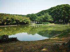 -河南省黄河迎宾馆