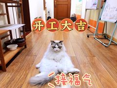 -猫音日语留学培训
