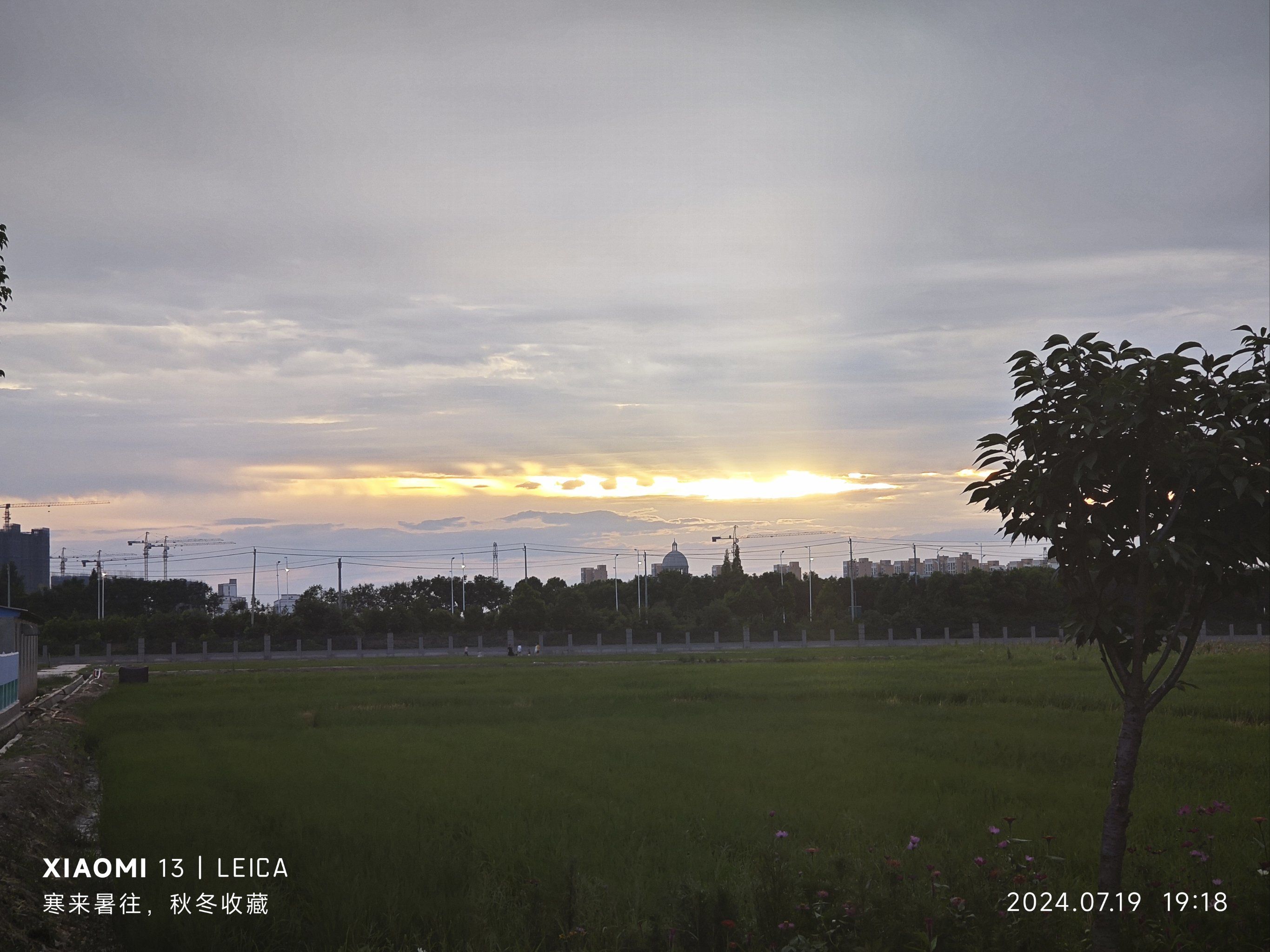 天天领红包 阎王让我三更死,二更我就抹