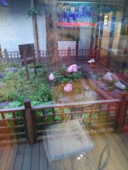 -爱儿美儿童摄影(朝阳公园店)