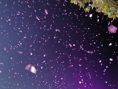 -常德桃花源景区