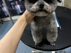 -芭比堂爱心动物医院(柯桥康爱分院)