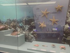 -上海中国航海博物馆