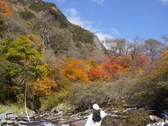 -叠溪松坪沟景区