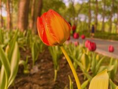 -长春公园(普阳街道)