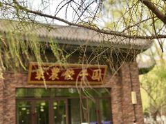 -东北农业大学饺子园