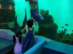 -瑞德姆美人鱼海底演艺主题餐厅(亚龙湾店)