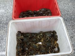 -朝内南小街菜市场