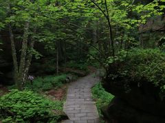 -汤旺河林海奇石景区