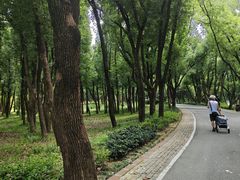 -东湖落雁景区