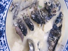-全乐鱼馆·淳牌有机鱼直营店