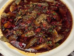 情妹耙泥鳅-情妹耙泥鳅·江湖川菜(科华店)