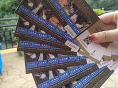 -将军关探险漂流