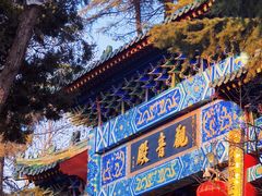 -湛山寺