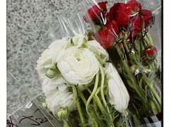 -循礼门鲜花花市(武汉循礼门店)