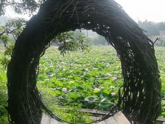-红山村