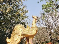 -云南勐巴娜西珍奇园