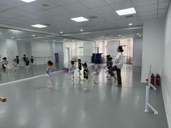 -西安小天鹅艺术团(金花路校区)