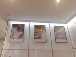 -崇尚GAVIN STYLE臻选