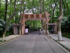 -灵谷景区