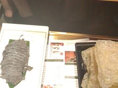 -南门四季铜锅涮肉(大屯·北苑店)