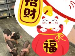 -浣熊柯尔鸭土拨鼠·电玩咖