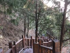 -北京十三陵国家森林公园蟒山景区