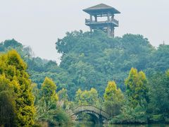 -张坝桂圆林公园