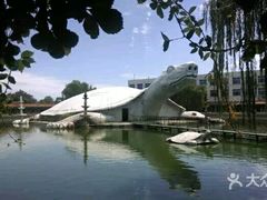 -东方巨龟苑景区