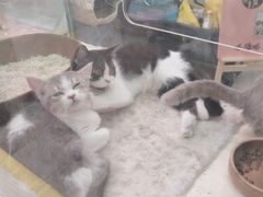 -鹏欣水游城